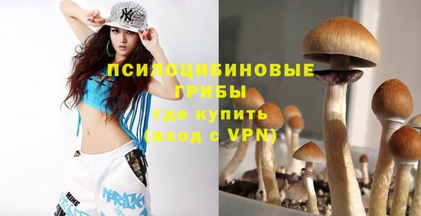 герыч Инсар